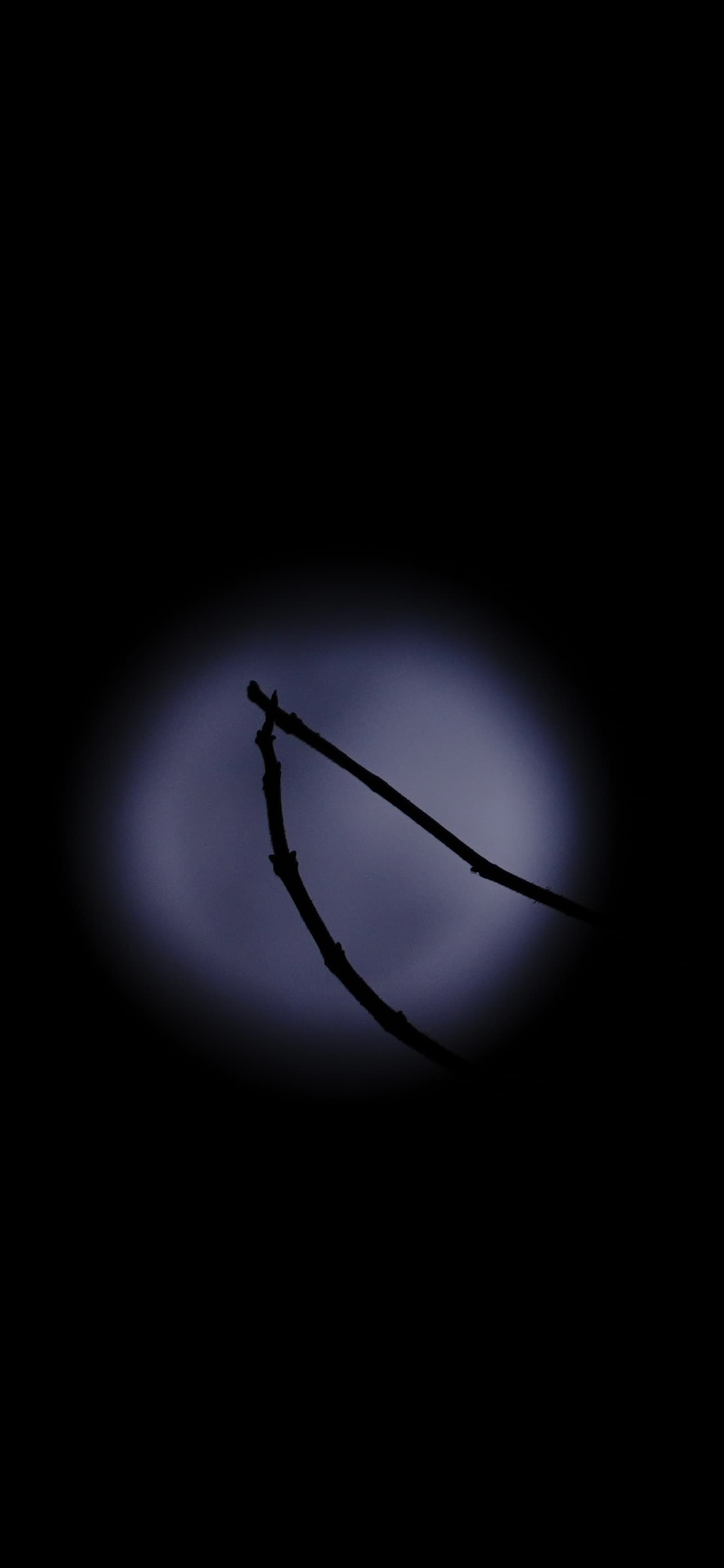 Marginalia — frame 3